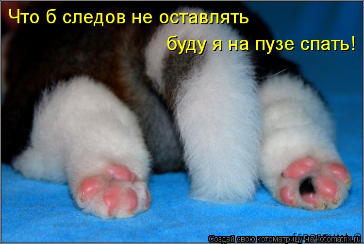 Что б следов не оставлять буду я на пузе спать!... Котоматрица: Что б следов не оставлять буду я на пузе спать!