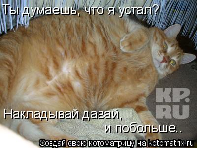 Котоматрица: Ты думаешь, что я устал? Накладывай давай,  и побольше..