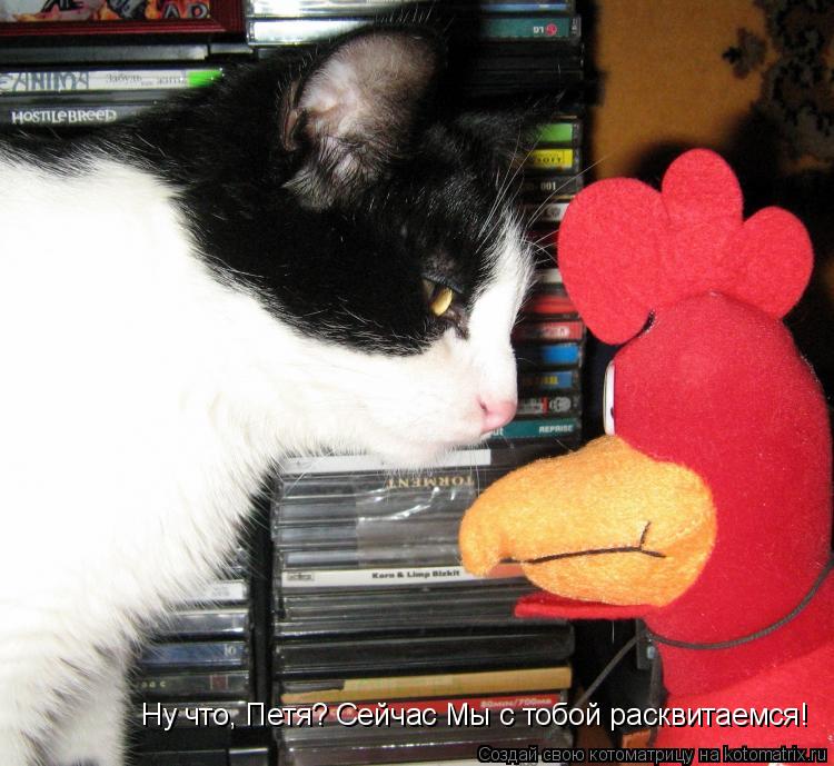 Котоматрица: Ну что, Петя? Сейчас Мы с тобой расквитаемся!