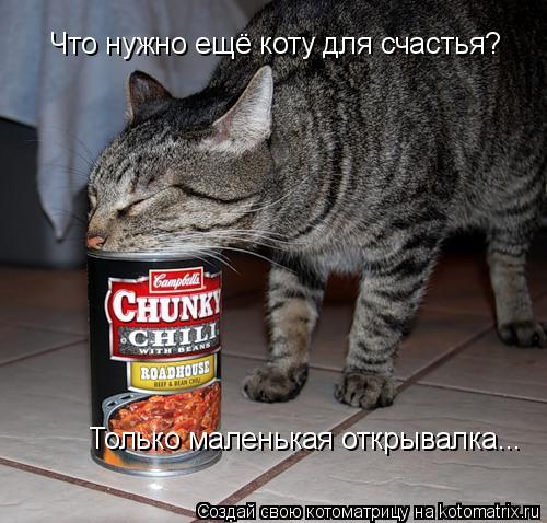 Котоматрица: Что нужно ещё коту для счастья?  Только маленькая открывалка...