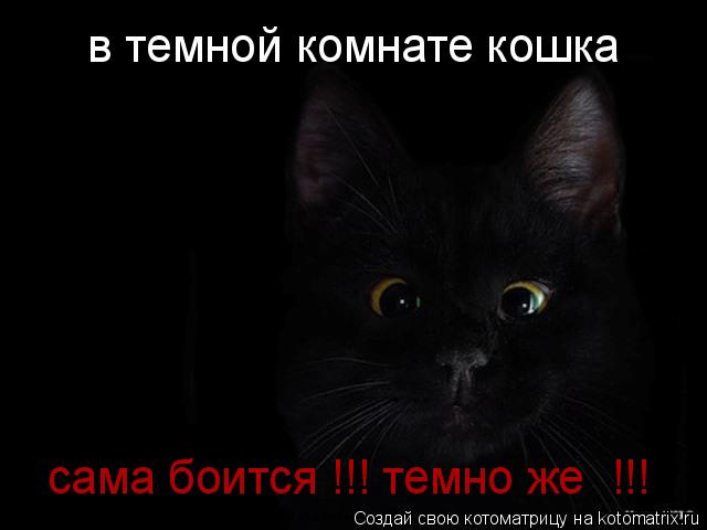 Котоматрица: в темной комнате кошка сама боится !!! темно же  !!!