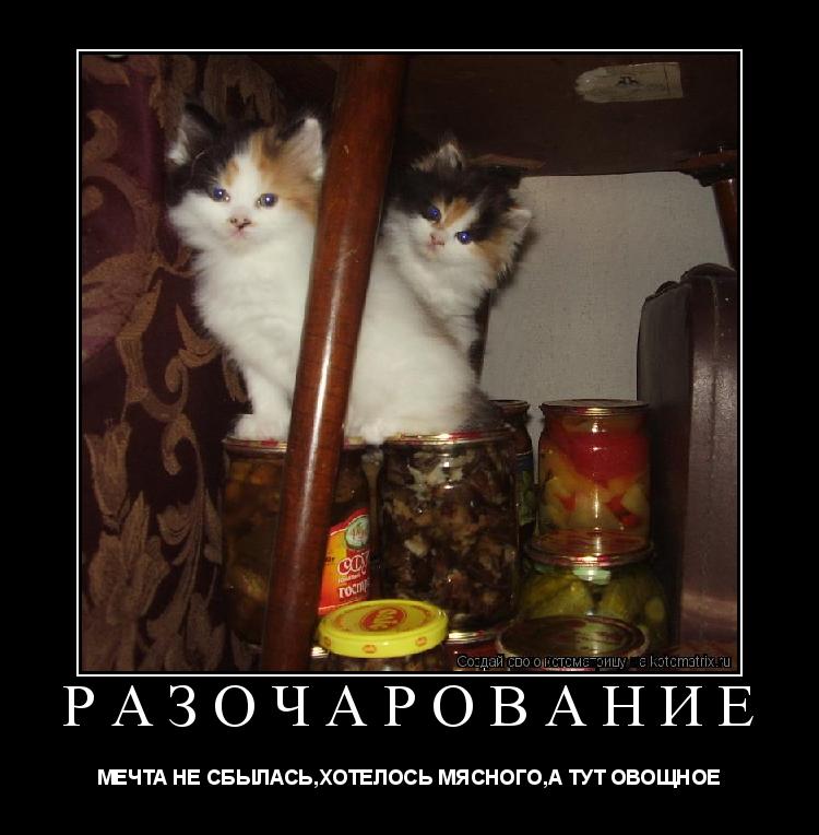 РАЗОЧАРОВАНИЕ МЕЧТА НЕ СБЫЛАСЬ,ХОТЕЛОСЬ МЯСНОГО,А ТУТ ОВОЩНОЕ... Котоматрица: РАЗОЧАРОВАНИЕ МЕЧТА НЕ СБЫЛАСЬ,ХОТЕЛОСЬ МЯСНОГО,А ТУТ ОВОЩНОЕ