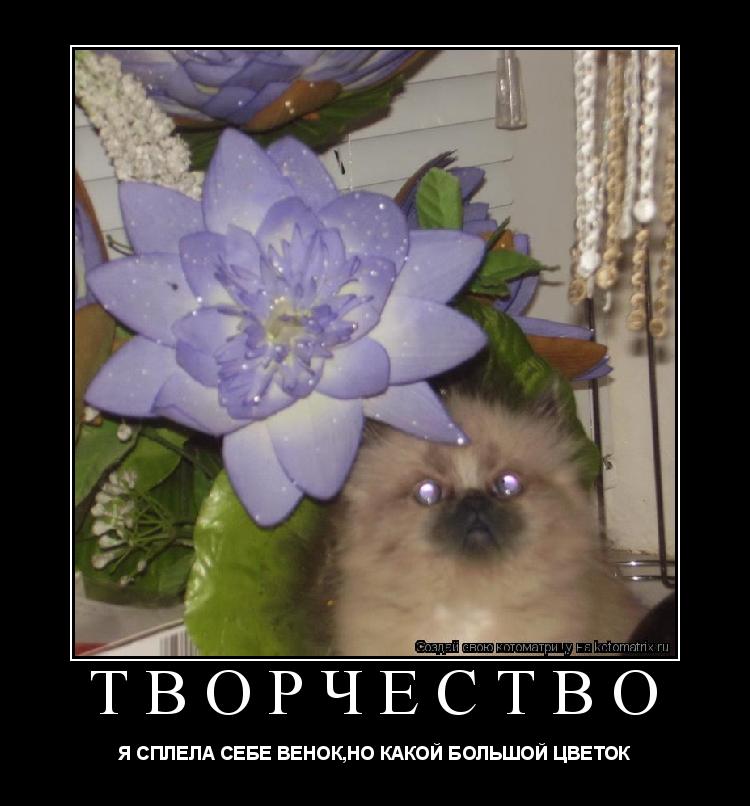 ТВОРЧЕСТВО Я СПЛЕЛА СЕБЕ ВЕНОК,НО КАКОЙ БОЛЬШОЙ ЦВЕТОК... Котоматрица: ТВОРЧЕСТВО Я СПЛЕЛА СЕБЕ ВЕНОК,НО КАКОЙ БОЛЬШОЙ ЦВЕТОК