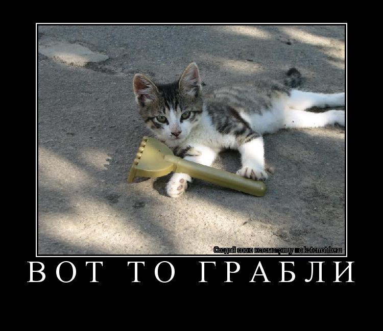 Вот то грабли ... Котоматрица: Вот то грабли