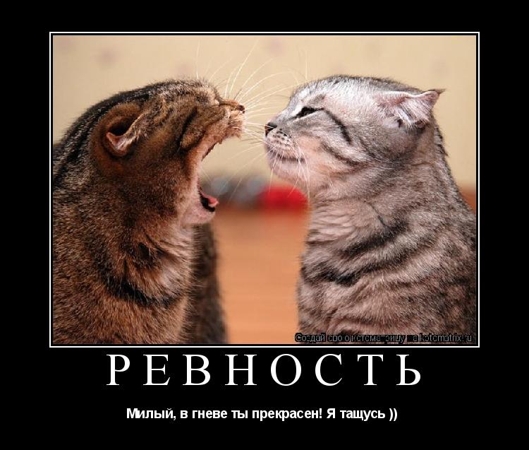 Ревность Милый, в гневе ты прекрасен! Я тащусь )) ... Котоматрица: Ревность Милый, в гневе ты прекрасен! Я тащусь ))