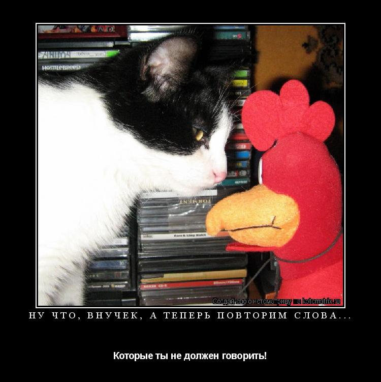 Котоматрица: Ну что, внучек, а теперь повторим слова... Которые ты не должен говорить!