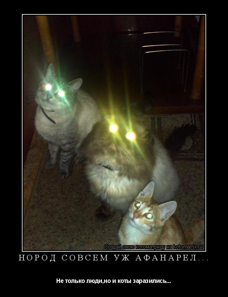 Нород совсем уж афанарел... Не только люди,но и коты заразились...... Котоматрица: Нород совсем уж афанарел... Не только люди,но и коты заразились...