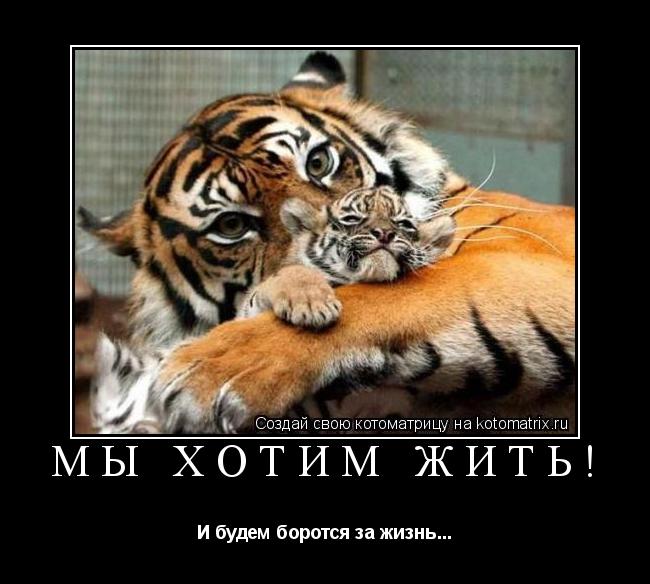 Мы хотим жить! И будем боротся за жизнь...... Котоматрица: Мы хотим жить! И будем боротся за жизнь...