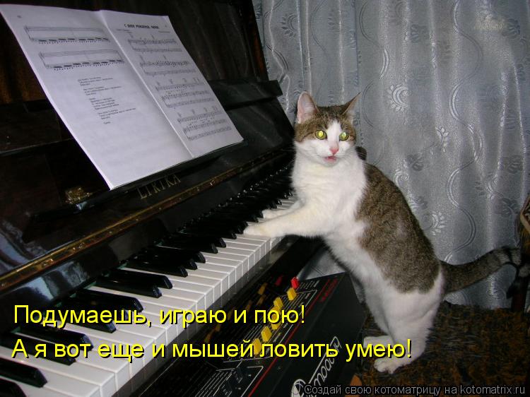 Подумаешь, играю и пою! А я вот еще и мышей ловить умею!... Котоматрица: Подумаешь, играю и пою! А я вот еще и мышей ловить умею!