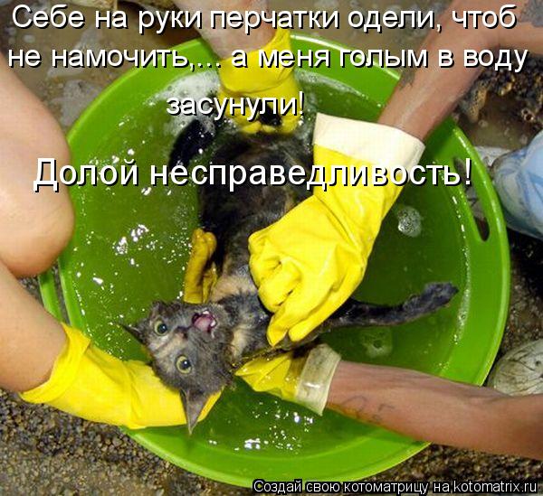 Котоматрица: Себе на руки перчатки одели, чтоб   не намочить,... а меня голым в воду  засунули! Долой несправедливость!