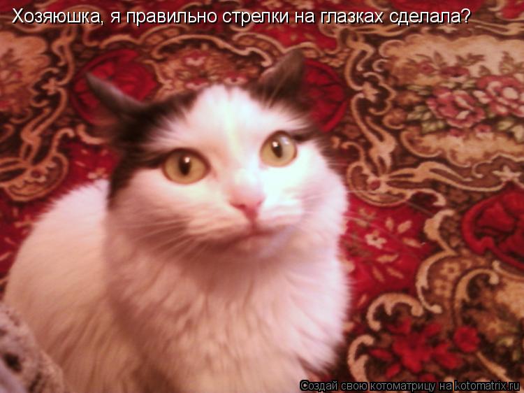Хозяюшка, я правильно стрелки на глазках сделала?... Котоматрица: Хозяюшка, я правильно стрелки на глазках сделала?