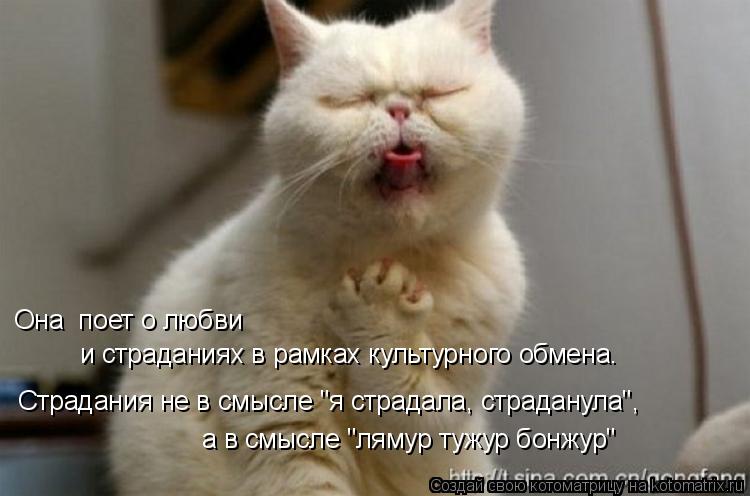 Она поет о любви и страданиях в рамках культурного обмена. Страдания не в смысле "я страдала, страда... Котоматрица: Она поет о любви и страданиях в рамках культурного обмена. Страдания не в смысле "я страдала, страданула", а в смысле "лямур тужур бонжур'