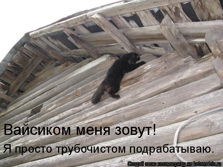 Я просто трубочистом подрабатываю. Вайсиком меня зовут!... Котоматрица: Я просто трубочистом подрабатываю. Вайсиком меня зовут!