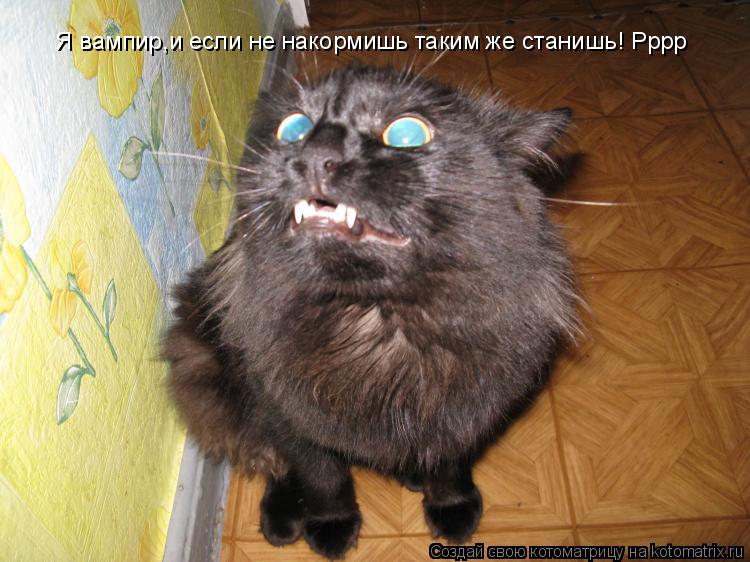 Я вампир,и если не накормишь таким же станишь! Рррр... Котоматрица: Я вампир,и если не накормишь таким же станишь! Рррр