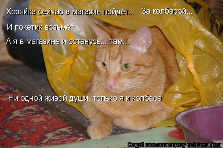 Хозяйка сейчас в магазин пойдёт... За колбасой... И покетик возьмёт... А я в магазине и останусь... т... Котоматрица: Хозяйка сейчас в магазин пойдёт... За колбасой... И покетик возьмёт... А я в магазине и останусь... там... Ни одной живой души, только я и колбаса