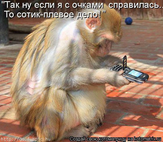 "Так ну если я с очками справилась.. То сотик-плевое дело! "... Котоматрица: "Так ну если я с очками справилась.. То сотик-плевое дело! "