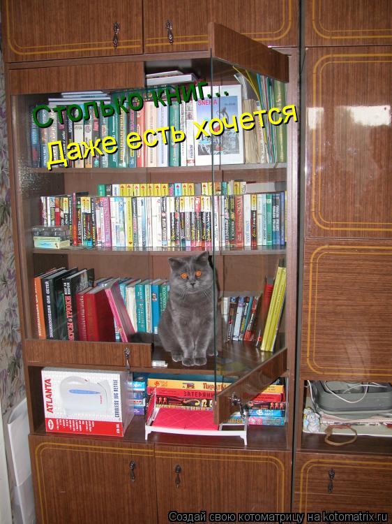 Столько книг... Даже есть хочется... Котоматрица: Столько книг... Даже есть хочется