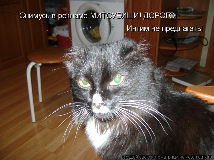 Снимусь в рекламе МИТСУБИШИ! ДОРОГО! Интим не предлагать!... Котоматрица: Снимусь в рекламе МИТСУБИШИ! ДОРОГО! Интим не предлагать!
