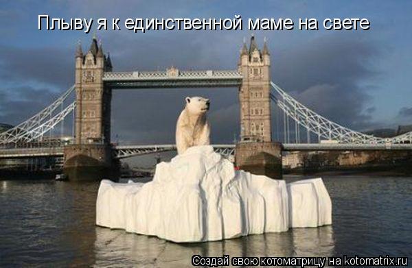 Плыву я к единственной маме на свете... Котоматрица: Плыву я к единственной маме на свете