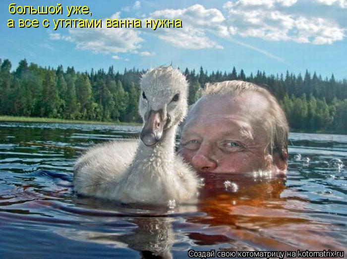 большой уже, а все с утятами ванна нужна... Котоматрица: большой уже, а все с утятами ванна нужна