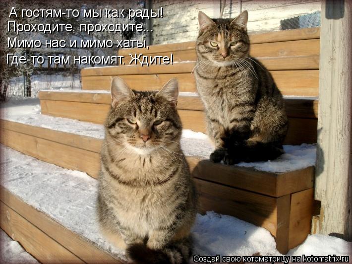 А гостям-то мы как рады! Проходите, проходите... Мимо нас и мимо хаты, Где-то там накомят. Ждите!... Котоматрица: А гостям-то мы как рады! Проходите, проходите... Мимо нас и мимо хаты, Где-то там накомят. Ждите!