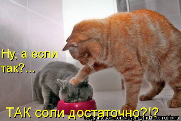 Котоматрица: Ну, а если так?...    ТАК соли достаточно?!?