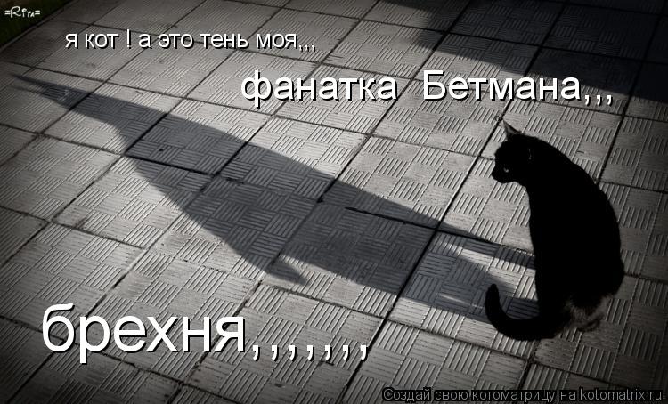 я кот ! а это тень моя,,, фанатка Бетмана,,, брехня,,,,,,,... Котоматрица: я кот ! а это тень моя,,, фанатка Бетмана,,, брехня,,,,,,,