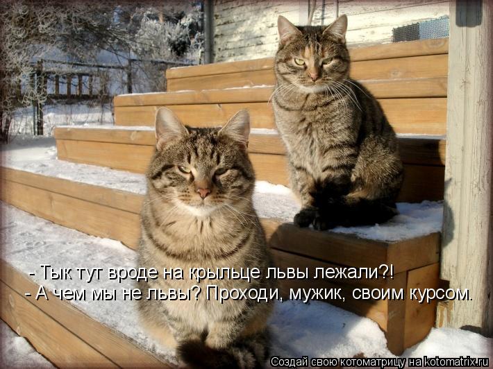 - Тык тут вроде на крыльце львы лежали?! - А чем мы не львы? Проходи, мужик, своим курсом.... Котоматрица: - Тык тут вроде на крыльце львы лежали?! - А чем мы не львы? Проходи, мужик, своим курсом.