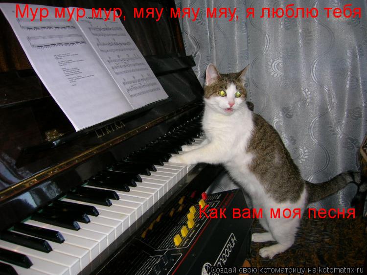 Мур мур мур, мяу мяу мяу, я люблю тебя Как вам моя песня... Котоматрица: Мур мур мур, мяу мяу мяу, я люблю тебя Как вам моя песня
