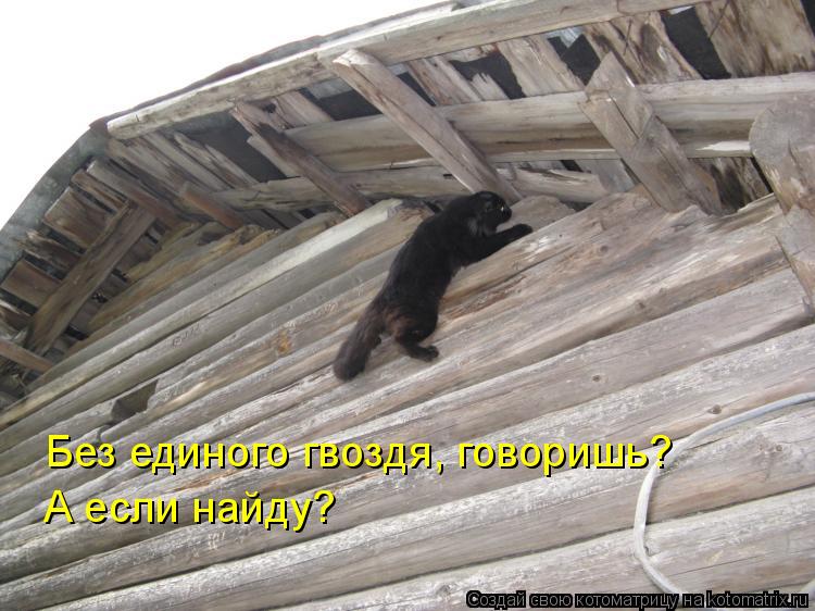 Без единого гвоздя, говоришь? А если найду?... Котоматрица: Без единого гвоздя, говоришь? А если найду?