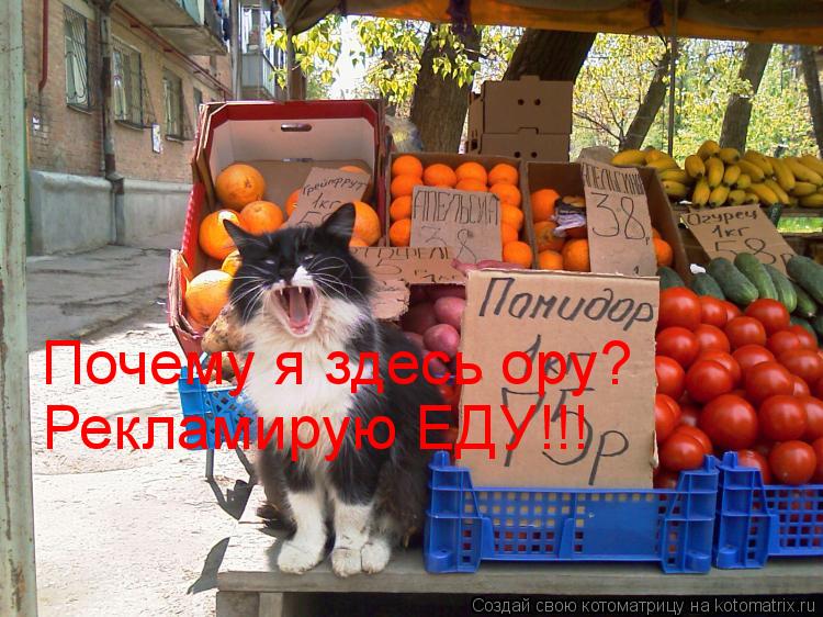 Почему я здесь ору? Рекламирую ЕДУ!!!... Котоматрица: Почему я здесь ору? Рекламирую ЕДУ!!!