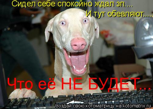 Сидел себе спокойно ждал зп.... И тут обевляют..... Что её НЕ БУДЕТ...... Котоматрица: Сидел себе спокойно ждал зп.... И тут обевляют..... Что её НЕ БУДЕТ...