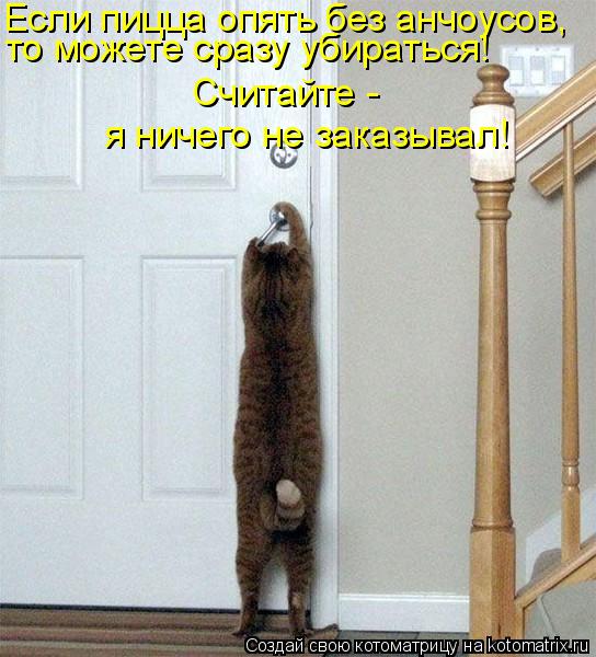 Котоматрица: Если пицца опять без анчоусов,  то можете сразу убираться! Считайте - я ничего не заказывал!