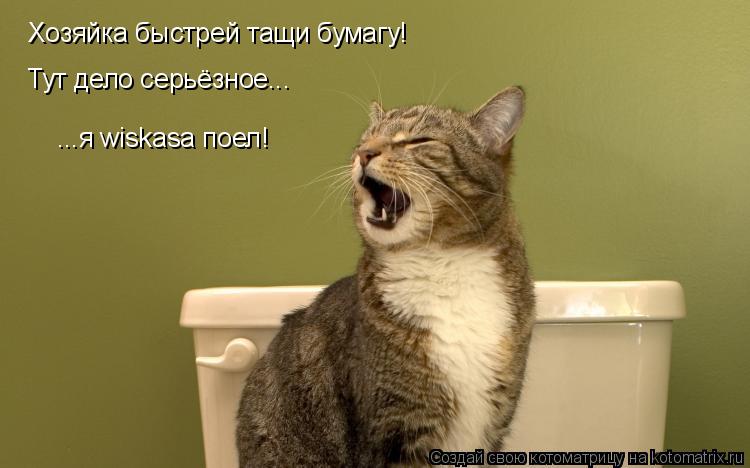 Хозяйка быстрей тащи бумагу! Тут дело серьёзное... ...я wiskasа поел!... Котоматрица: Хозяйка быстрей тащи бумагу! Тут дело серьёзное... ...я wiskasа поел!