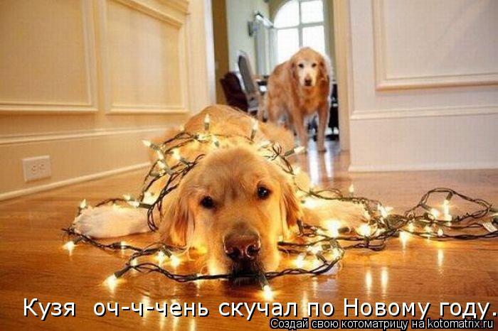Кузя оч-ч-чень скучал по Новому году....... Котоматрица: Кузя оч-ч-чень скучал по Новому году....