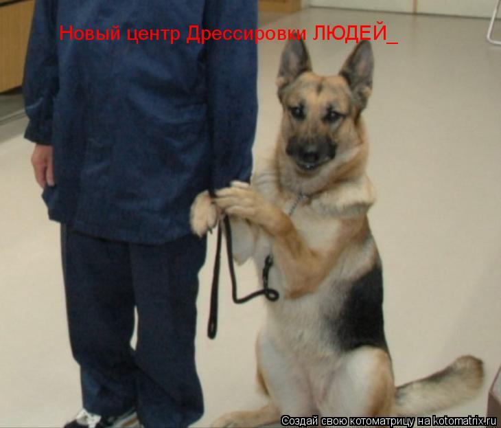 Новый центр Дрессировки ЛЮДЕЙ_ Новый центр Дрессировки ЛЮДЕЙ_... Котоматрица: Новый центр Дрессировки ЛЮДЕЙ_ Новый центр Дрессировки ЛЮДЕЙ_