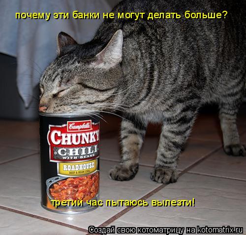 почему эти банки не могут делать больше? третий час пытаюсь вылезти!... Котоматрица: почему эти банки не могут делать больше? третий час пытаюсь вылезти!