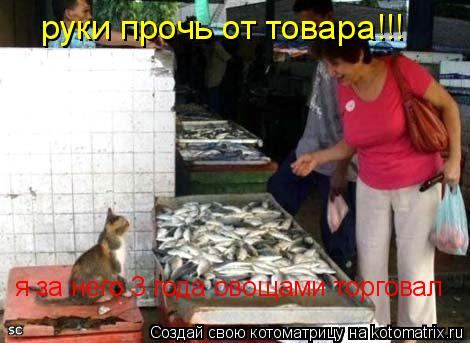 руки прочь от товара!!! я за него 3 года овощами торговал... Котоматрица: руки прочь от товара!!! я за него 3 года овощами торговал