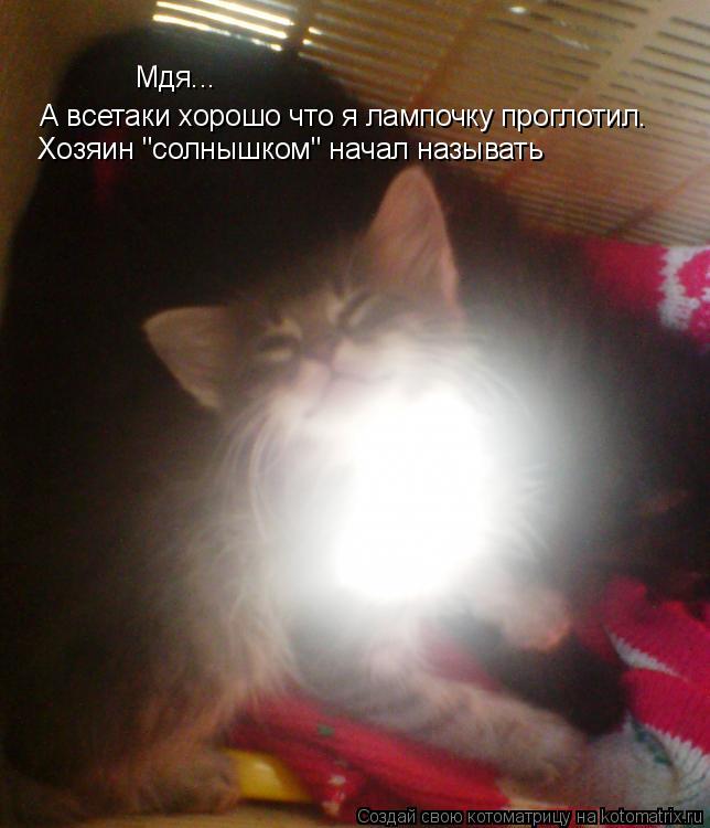 Мдя... А всетаки хорошо что я лампочку проглотил. Хозяин "солнышком" начал называть... Котоматрица: Мдя... А всетаки хорошо что я лампочку проглотил. Хозяин "солнышком" начал называть
