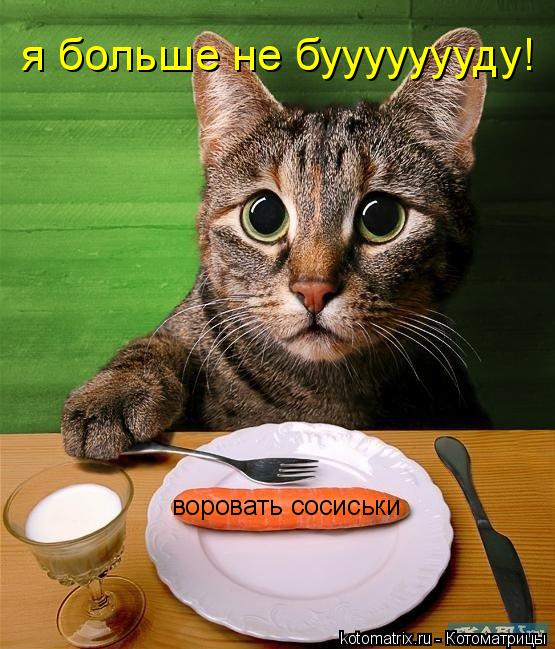 я больше не буууууууду! воровать сосиськи... Котоматрица: я больше не буууууууду! воровать сосиськи