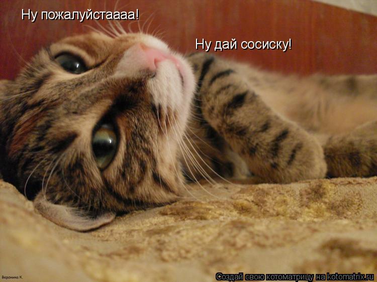 Ну пожалуйстаааа! Ну дай сосиску!... Котоматрица: Ну пожалуйстаааа! Ну дай сосиску!