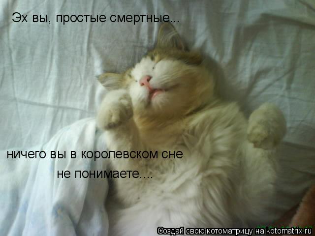 Эх вы, простые смертные... ничего вы в королевском сне не понимаете....... Котоматрица: Эх вы, простые смертные... ничего вы в королевском сне не понимаете....
