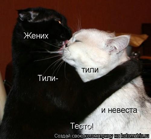 Жених и невеста Тили- тили Тесто!... Котоматрица: Жених и невеста Тили- тили Тесто!