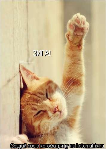 ЗИГА!... Котоматрица: ЗИГА!