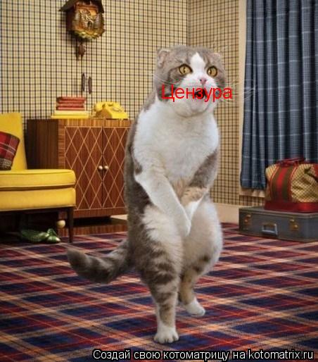 Цензура... Котоматрица: Цензура