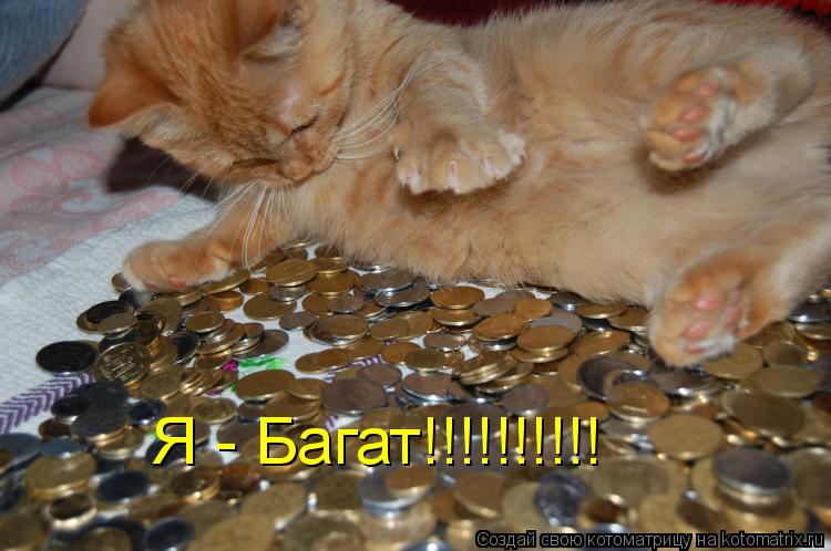 Котоматрица: Я - Багат!!!!!!!!!!