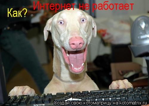 Котоматрица: Как? Интернет не работает