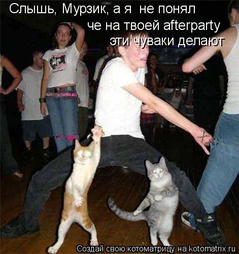 Котоматрица: че на твоей afterparty Слышь, Мурзик, а я  не понял эти чуваки делают