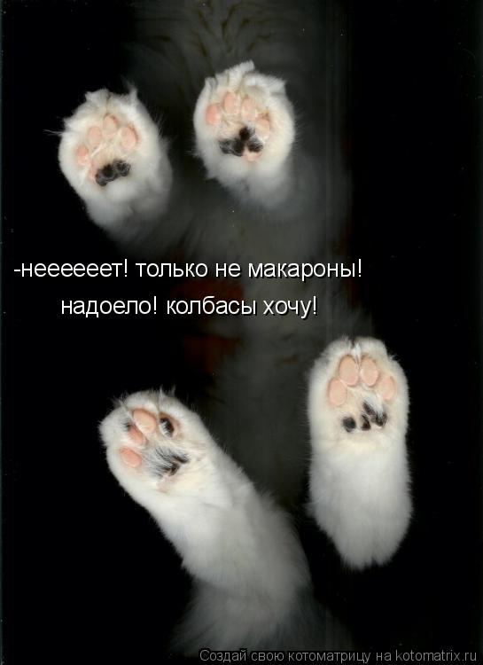 Котоматрица: -неееееет! только не макароны! надоело! колбасы хочу!
