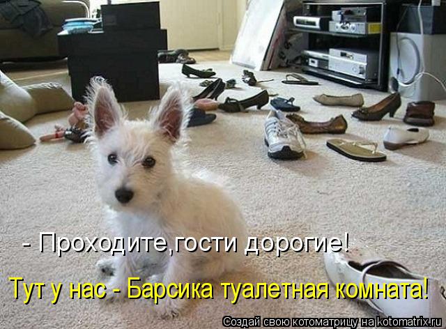 - Проходите,гости дорогие! Тут у нас - Барсика туалетная комната!... Котоматрица: - Проходите,гости дорогие! Тут у нас - Барсика туалетная комната!